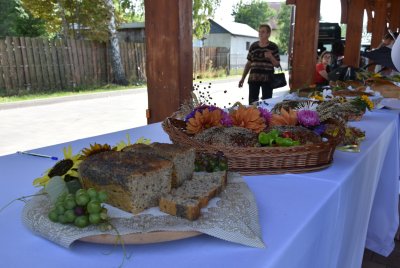 Dożynki Gminne 2025 w Wojsławicach